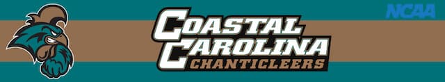 Coastal Carolina artwork 3