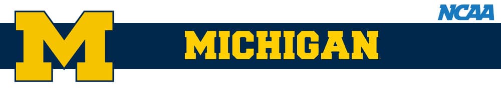 Michigan banner