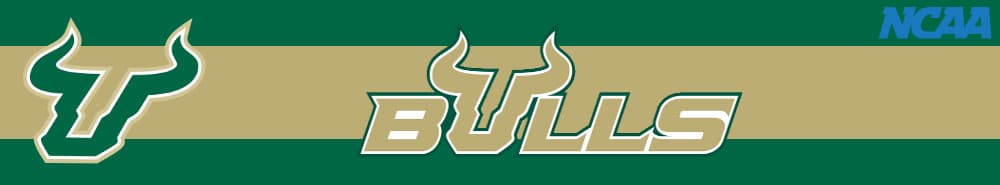 South Florida banner