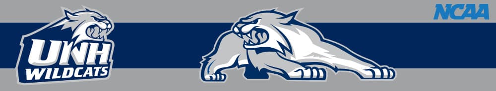 New Hampshire banner