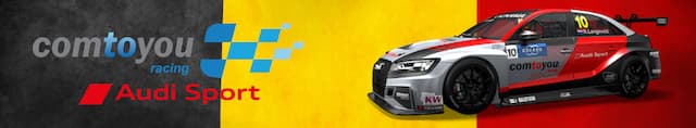 Team Audi Sport artwork 4