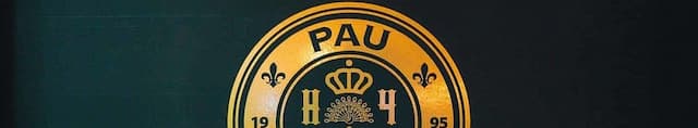 Pau FC artwork 4