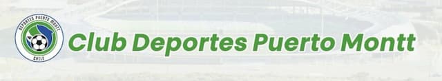 Deportes Puerto Montt artwork 3