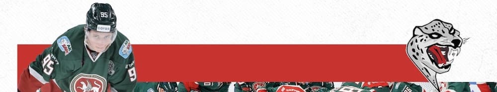 Ak Bars Kazan banner