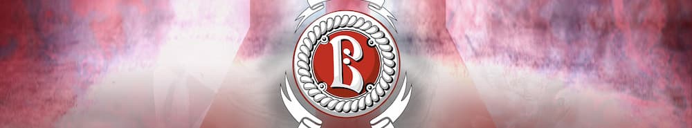 Vityaz Podolsk banner