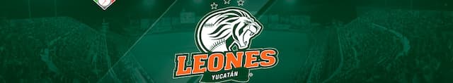 Leones de Yucatán artwork 4