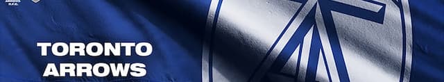 Toronto Arrows artwork 4
