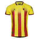 Watford jersey