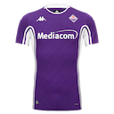 Fiorentina jersey