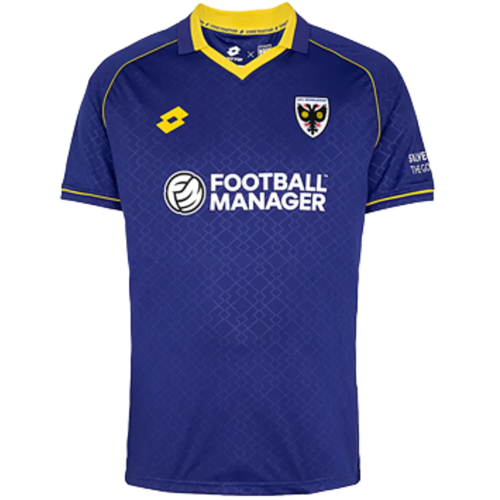 AFC Wimbledon artwork 3