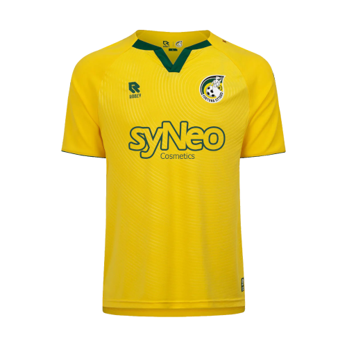 Fortuna Sittard artwork 3