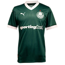 Palmeiras jersey