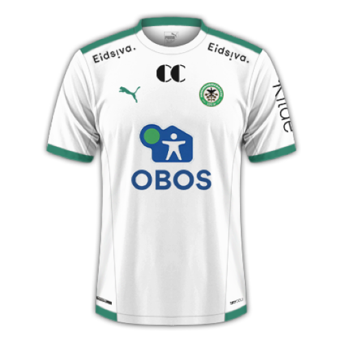 Hamarkameratene artwork 2