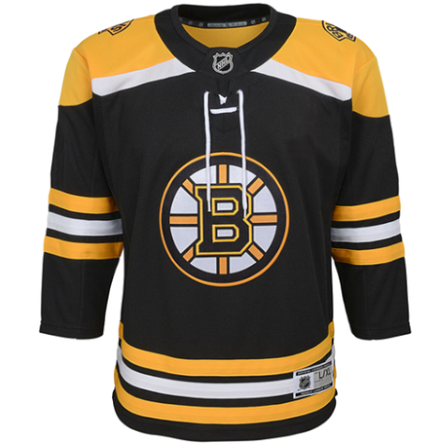 Boston Bruins artwork 3