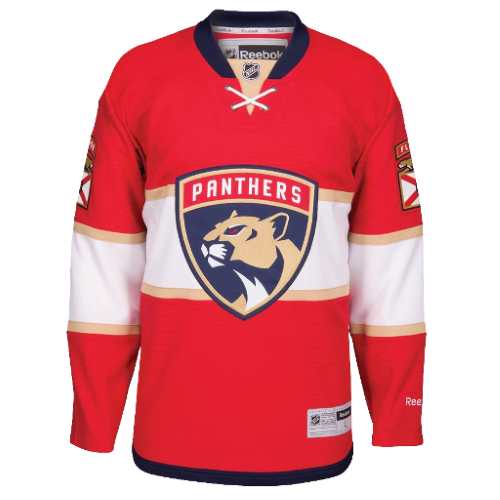 Florida Panthers artwork 3