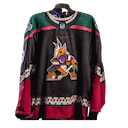 Arizona Coyotes jersey