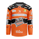 Sheffield Steelers jersey