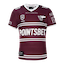 Manly Sea Eagles kit
