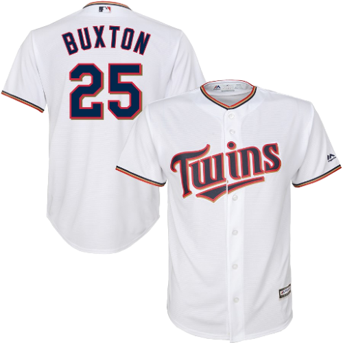 Minnesota Twins artwork 3