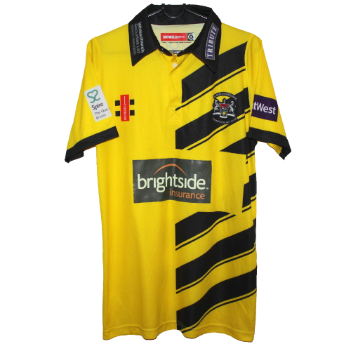 Gloucestershire t20 artwork 3