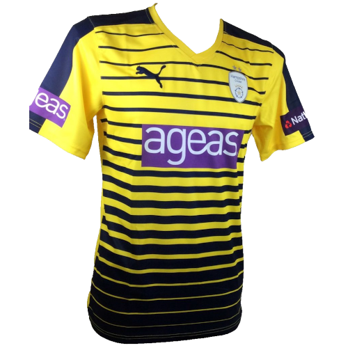 Hampshire t20 artwork 3