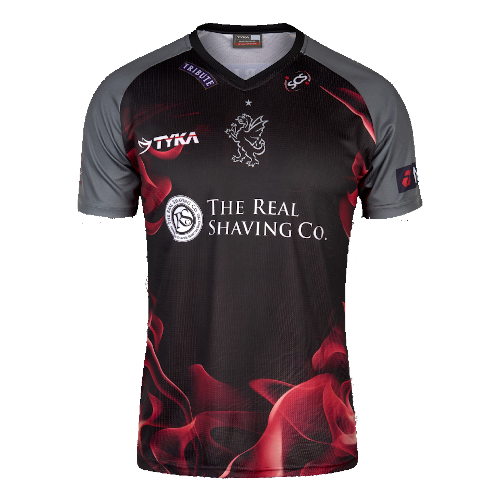 Somerset t20 artwork 3