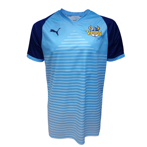 Yorkshire Vikings artwork 3