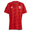 Wales jersey
