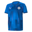 Iceland jersey