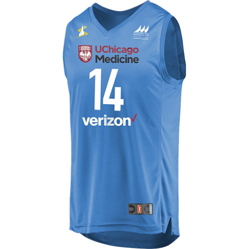 Chicago Sky artwork 3