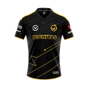 Dignitas jersey