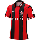 Hokkaido Consadole Sapporo jersey
