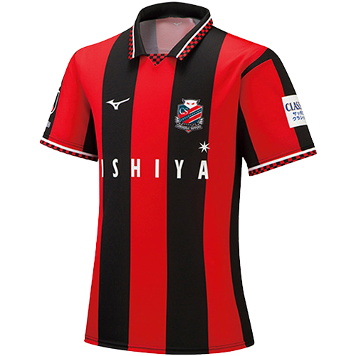 Hokkaido Consadole Sapporo artwork 2