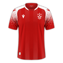 Partizani jersey