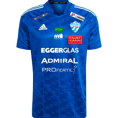 TSV Hartberg artwork 3