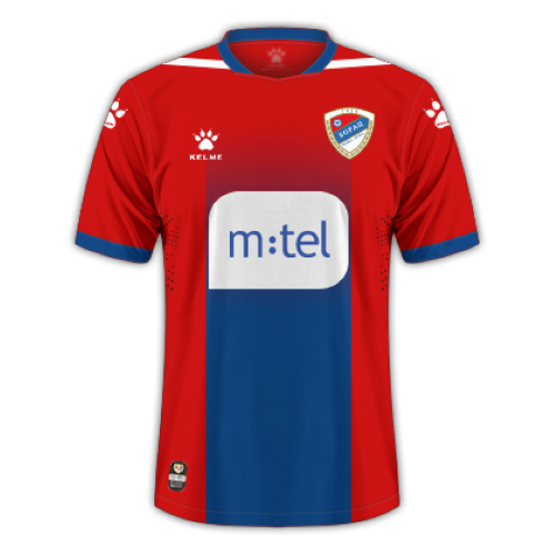 Borac Banja Luka artwork 2