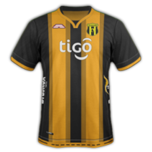 Club Guaraní artwork 2