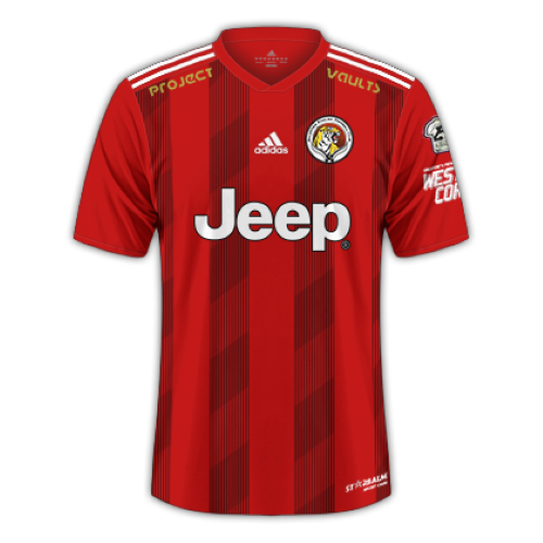 Balestier Khalsa artwork 2