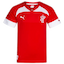 Denmark Handball