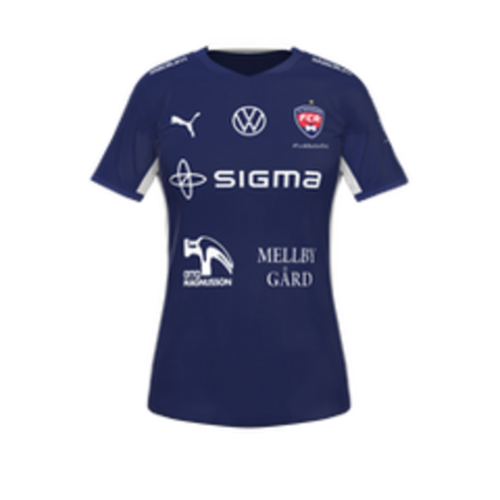 Rosengård Women artwork 2