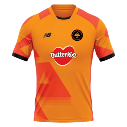 Birmingham Phoenix artwork 3