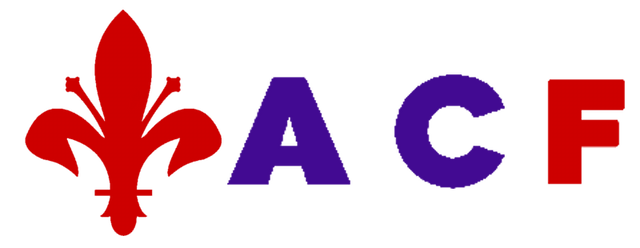 Fiorentina artwork 2