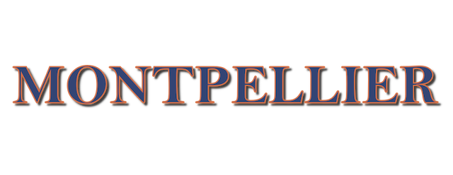 Montpellier artwork 2