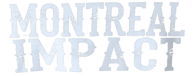 CF Montréal artwork 2