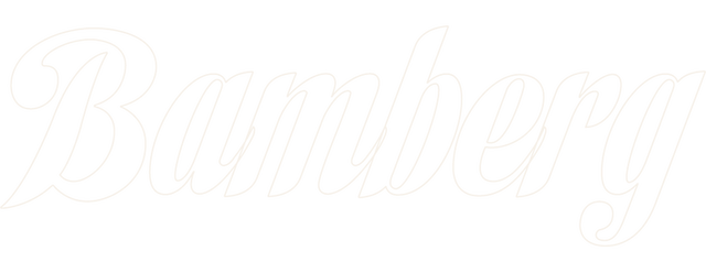 Brose Bamberg artwork 2