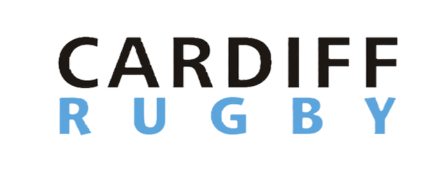 Cardiff Rugby artwork 2