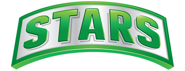 Melbourne Stars artwork 2