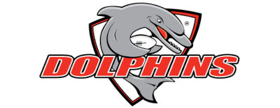 Dolphins artwork 2