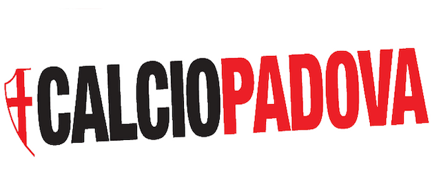 Calcio Padova artwork 2