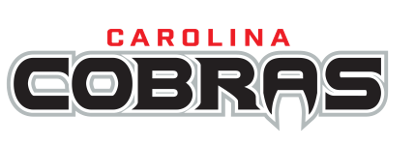 Carolina Cobras artwork 2